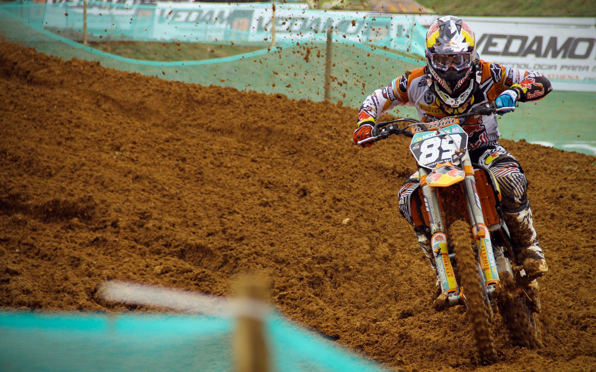 “冠军的瞬间：感人全场的夺冠时刻”，冠军的视频